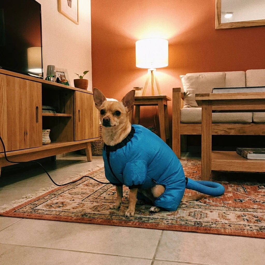 Customer photo review of Traje Secador Rápido para Perros y Gatos