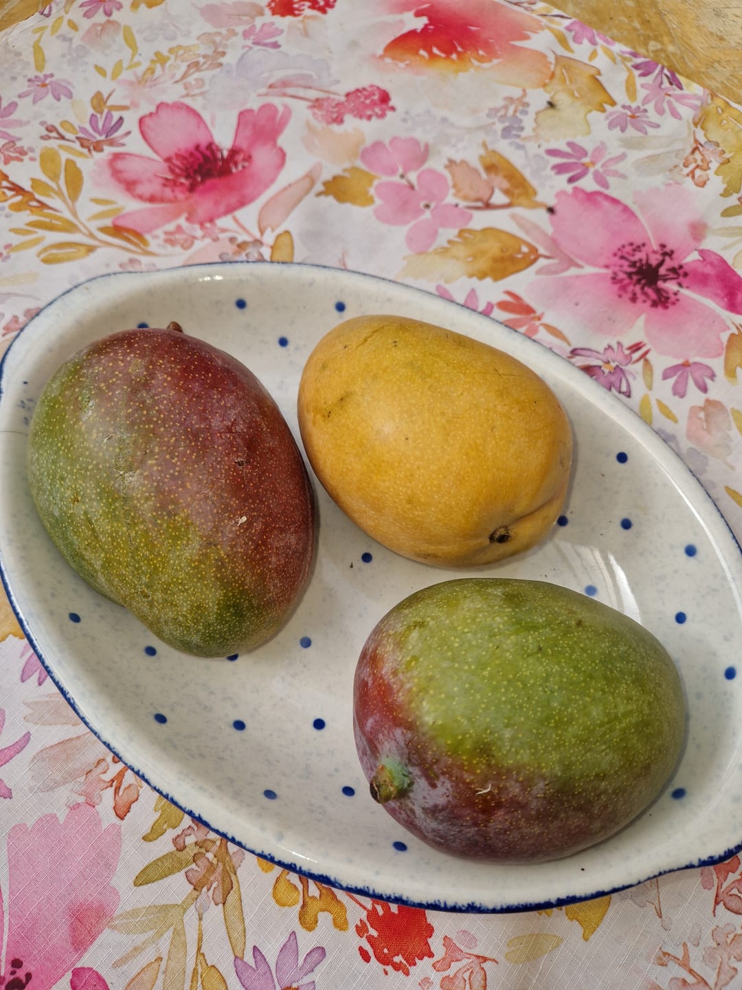 Customer photo review of Ugly Mangobox