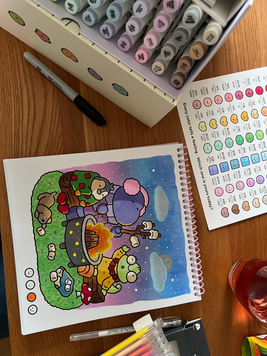 Customer photo review of Ohuhu x Coco Wyo Cozy Mood Coloring Kit, Honolulu B 48 Colors Alcohol Markers with Brush & Fine Dual Tips, Coloring Book with Mood Tracker Pages