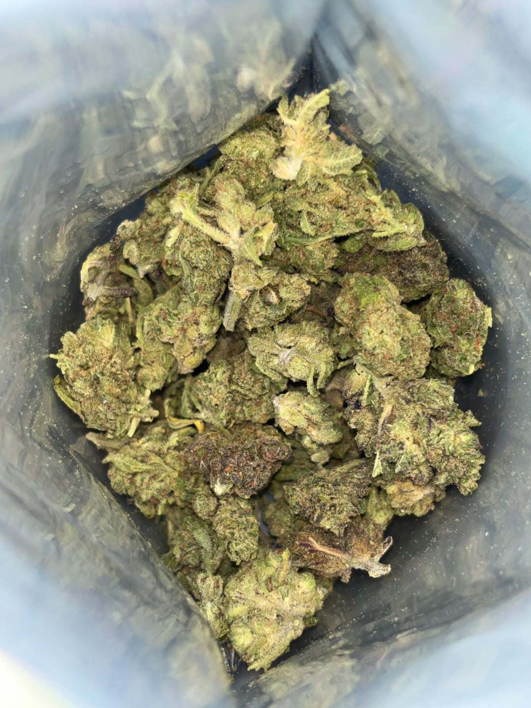 Customer photo review of KIND - Blueberry Zkittlez - 28 Grams - Indica