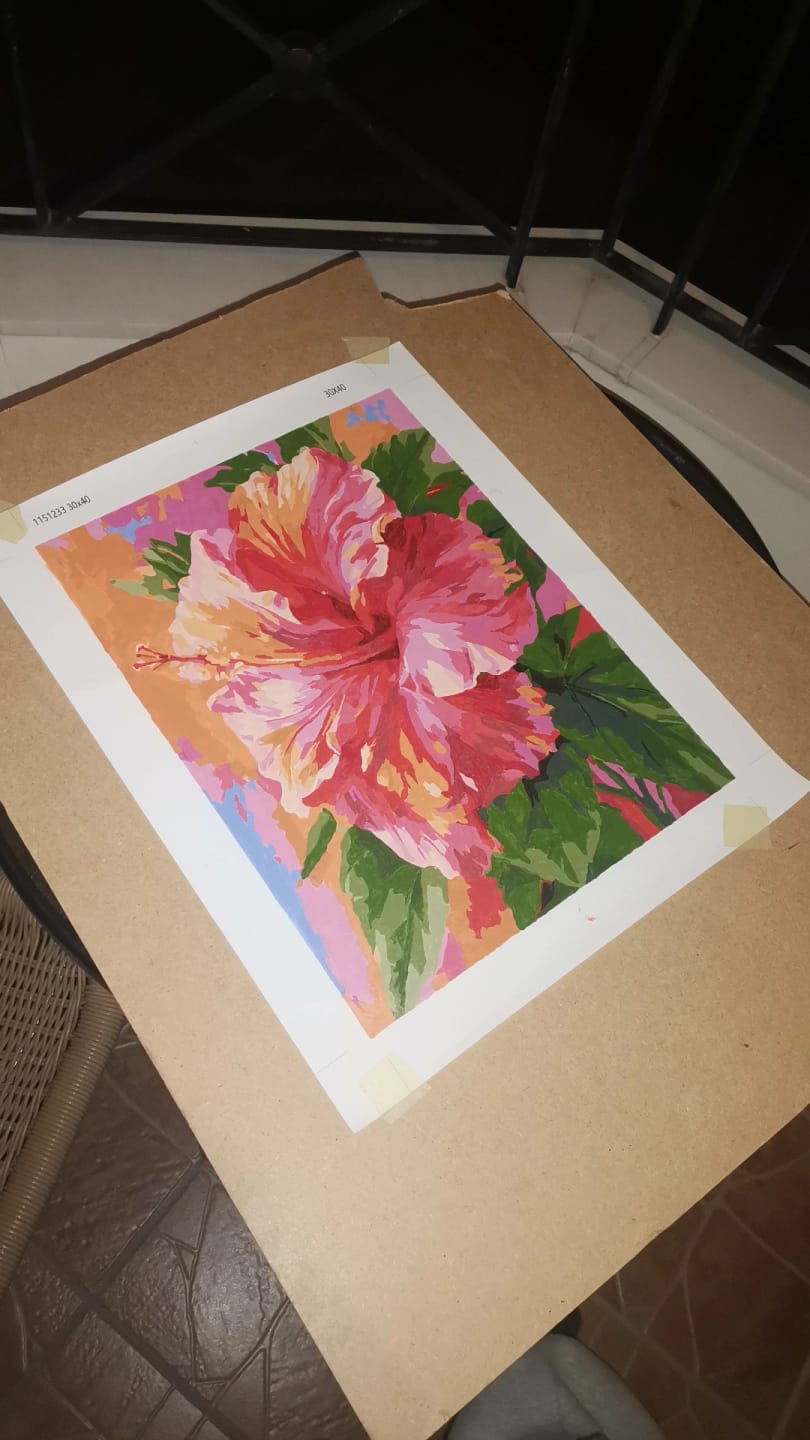 Customer photo review of Surprise Painting | Paint by Numbers