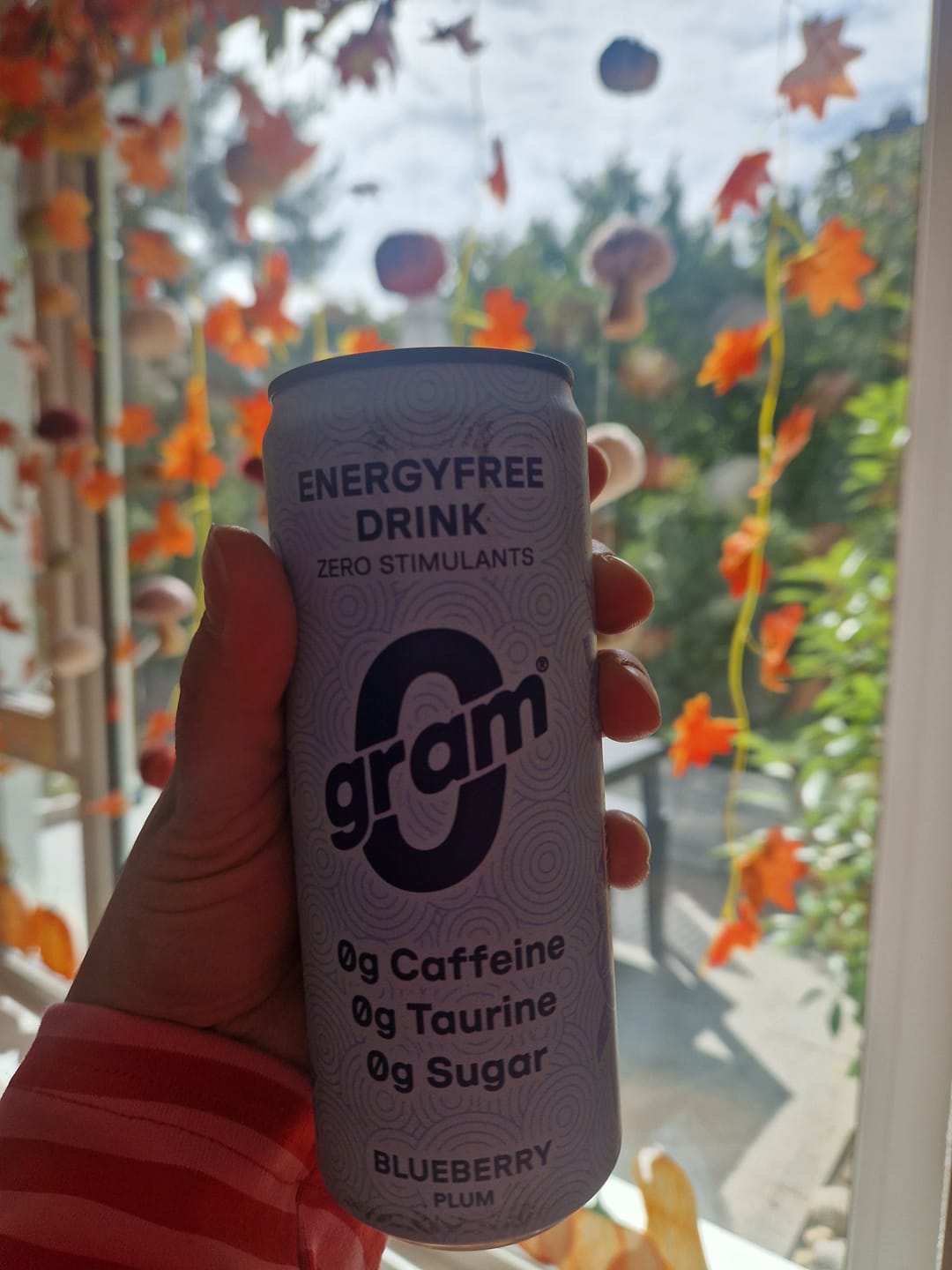 Customer photo review of 0gram Blueberry-Plum