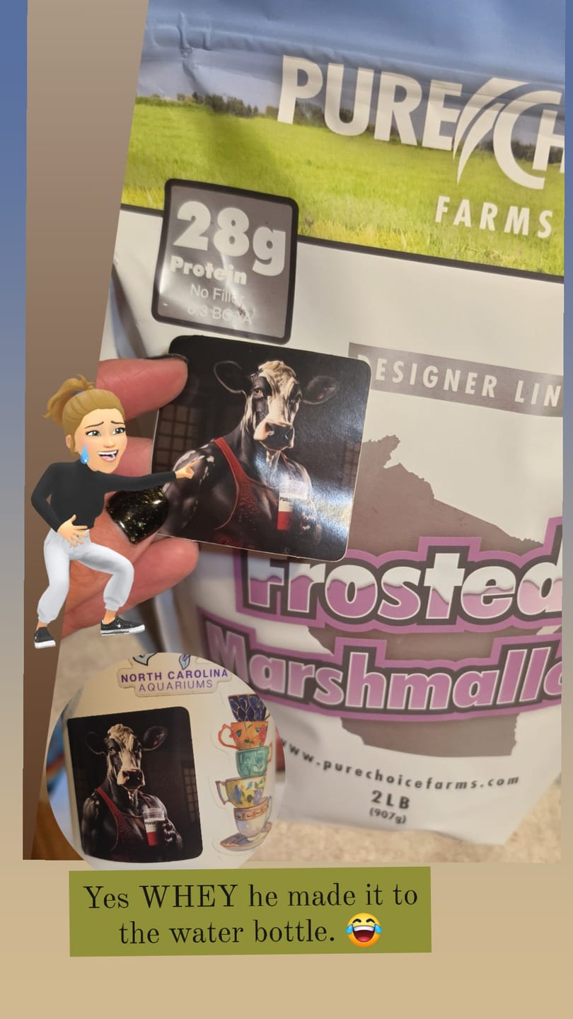 Customer photo review of Whey Protein Isolate Frosted Marshmallow