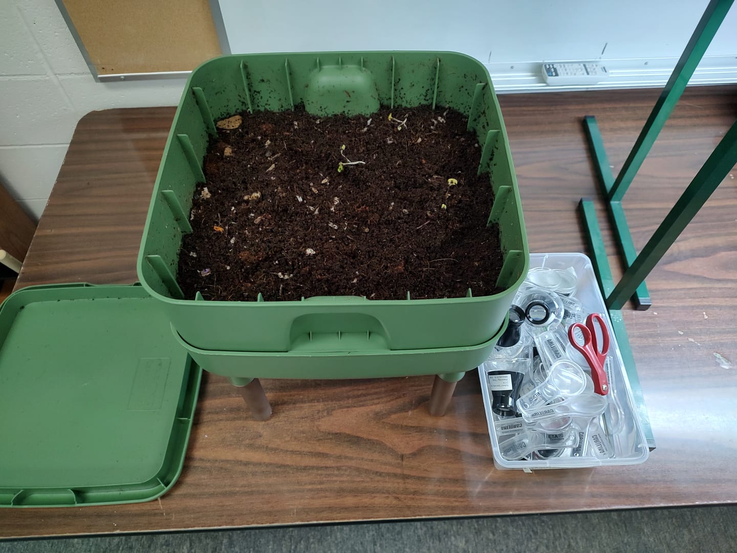 Customer photo review of Red Wigglers Composting Worms