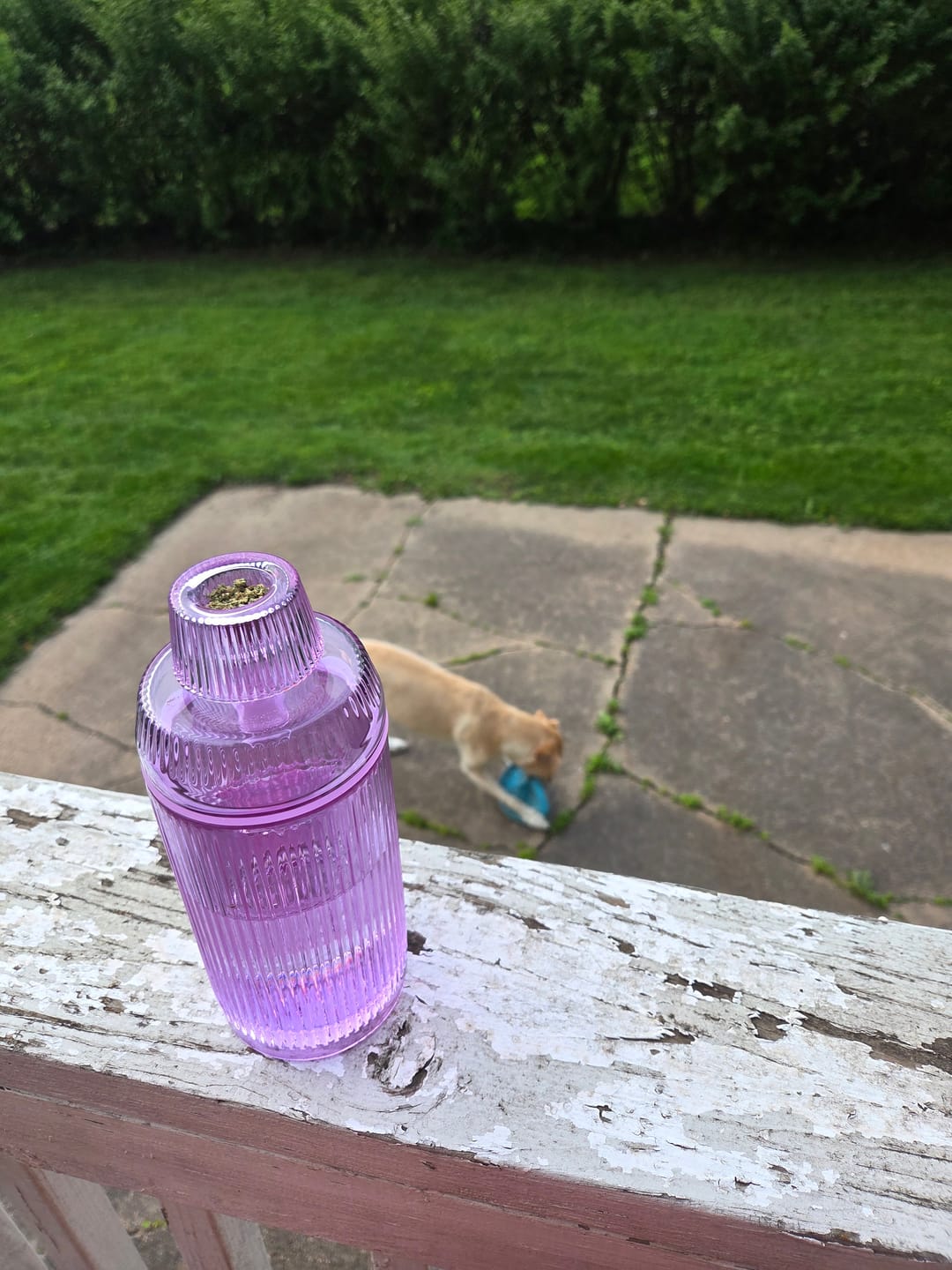 Customer photo review of Deco Gravity Bong