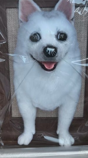 Customer photo review of Custom 3D Felted Cat Frame Portrait