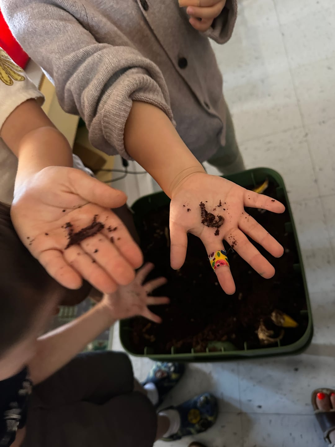 Customer photo review of Red Wigglers Composting Worms
