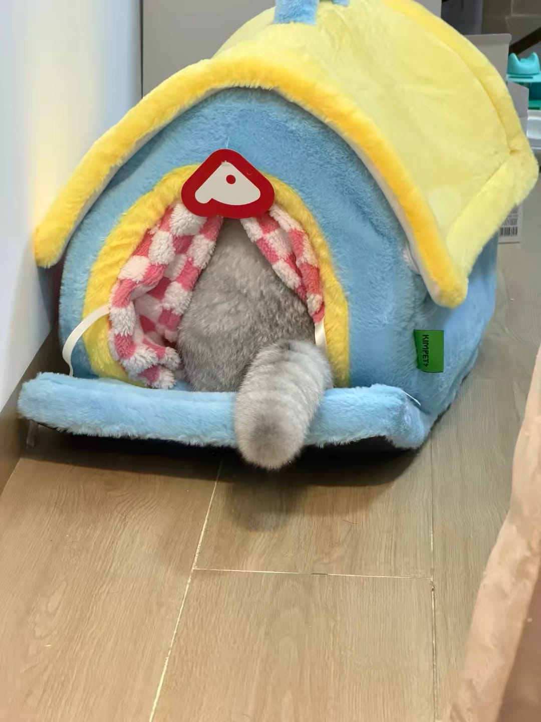 Customer photo review of Cozy House Cat Bed
