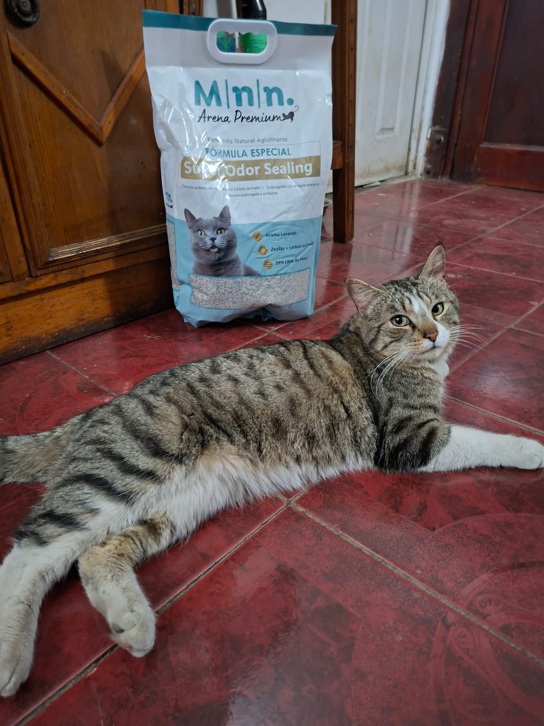 Customer photo review of Arena Minino 48kg - Carbón Activo
