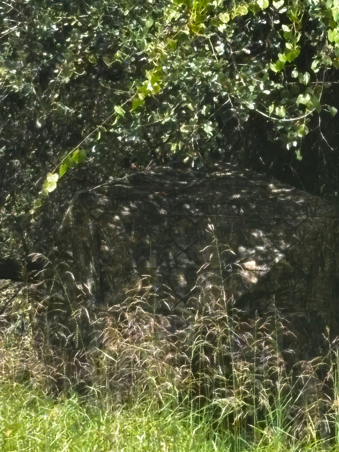 Customer photo review of VisX/VisMax 270 Degree 3 Full Panels See Through Hunting Blind and Rain Suit Bundle
