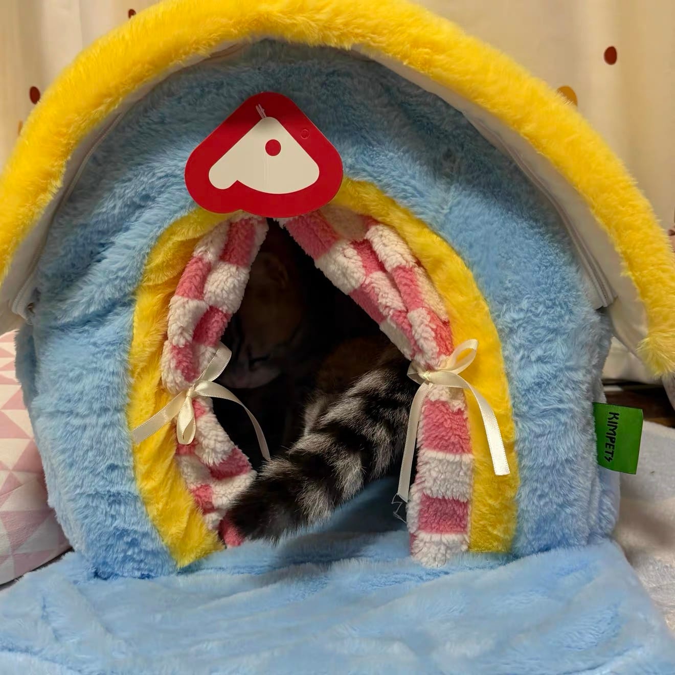 Customer photo review of Cozy House Cat Bed