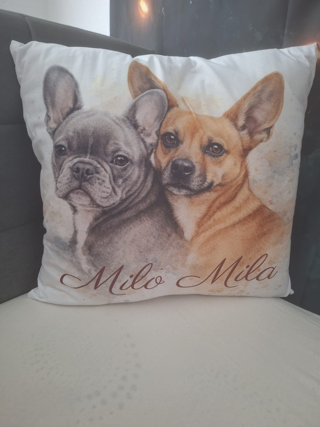 Customer photo review of Dein Haustier als Kissen - Aquarell