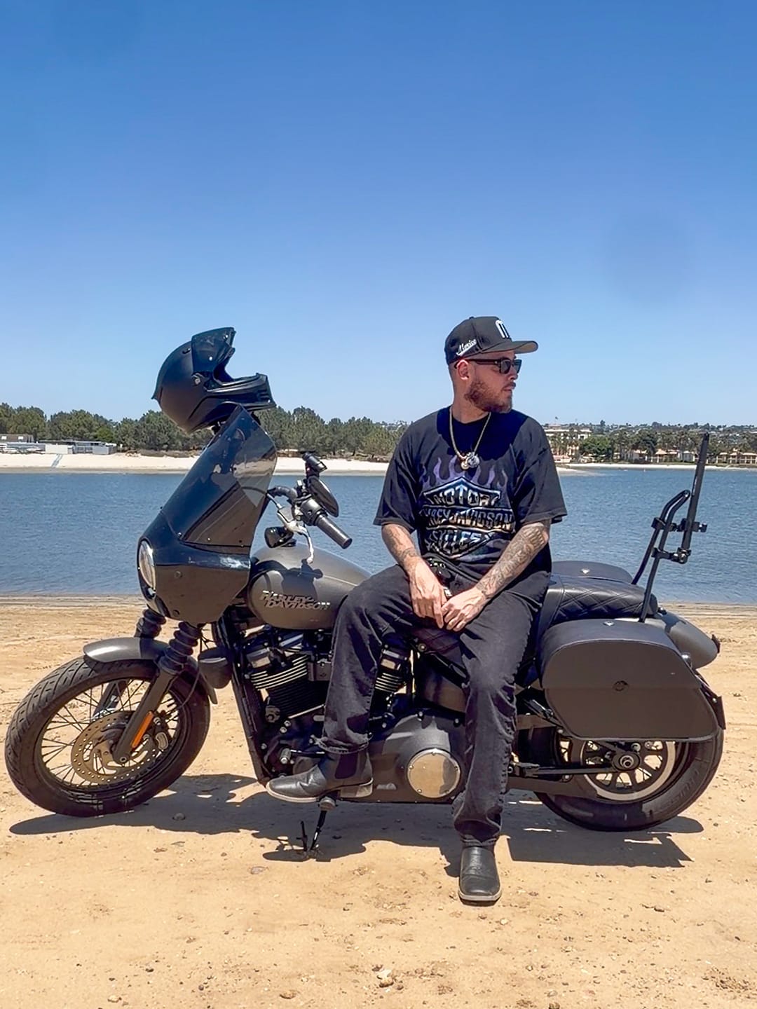 Customer photo review of 28L - Panzer Medium Quick Mount Leather Saddlebags For Harley Softail Street Bob FXBB/S