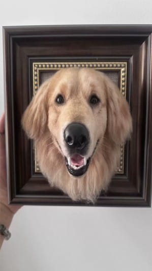 Customer photo review of Custom 3D Felted Cat Frame Portrait