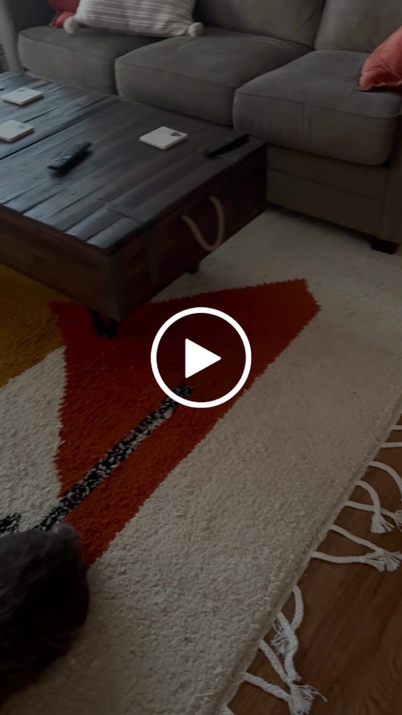 Customer video review of Modern Moroccan Wool Rug – Berber Rug with Geometric Mustard & Terracotta Design