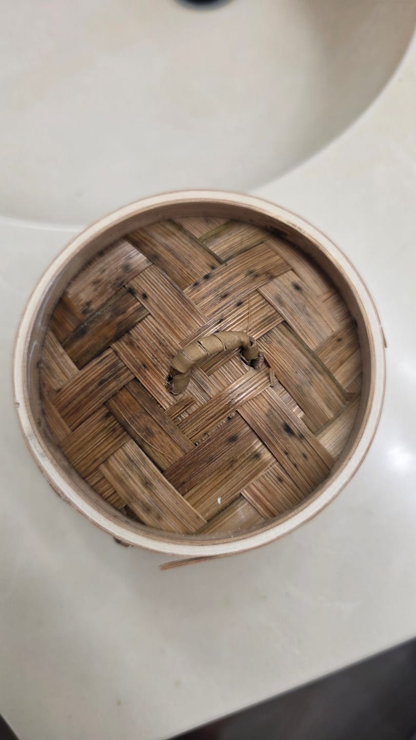 Customer photo review of Bamboo Shampoo Bar Holder – Eco-Friendly | VIORI