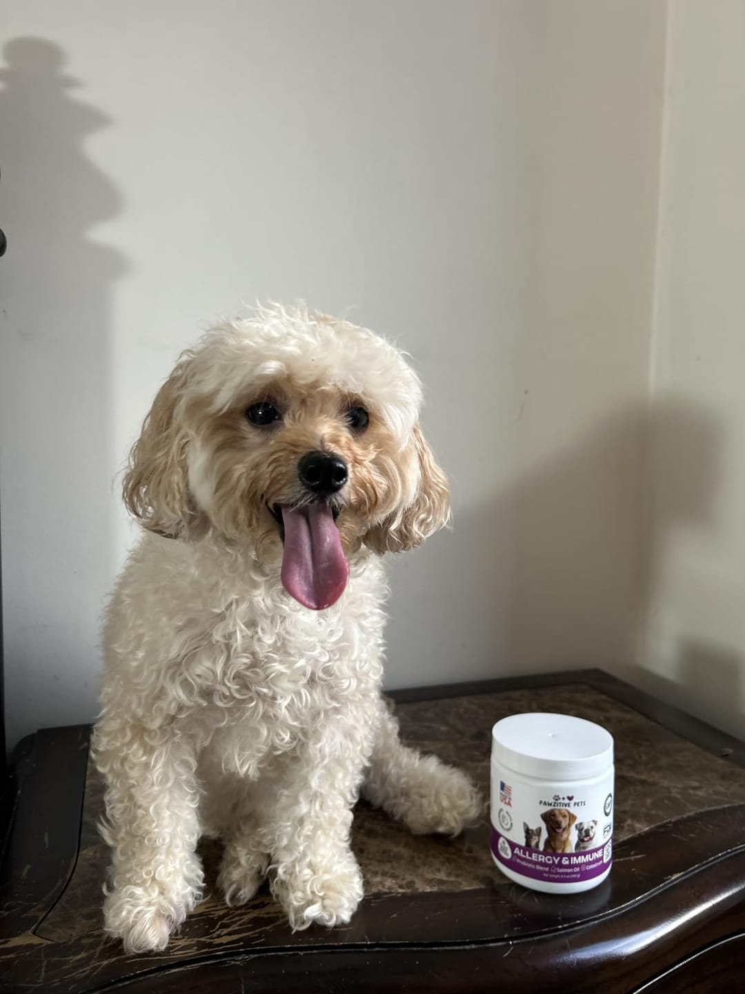 Customer photo review of Dog Allergy Chews for Itchy Skin, Paw Licking & Seasonal Allergies – Immune Support, 120 Soft Chews (Beef Flavor)