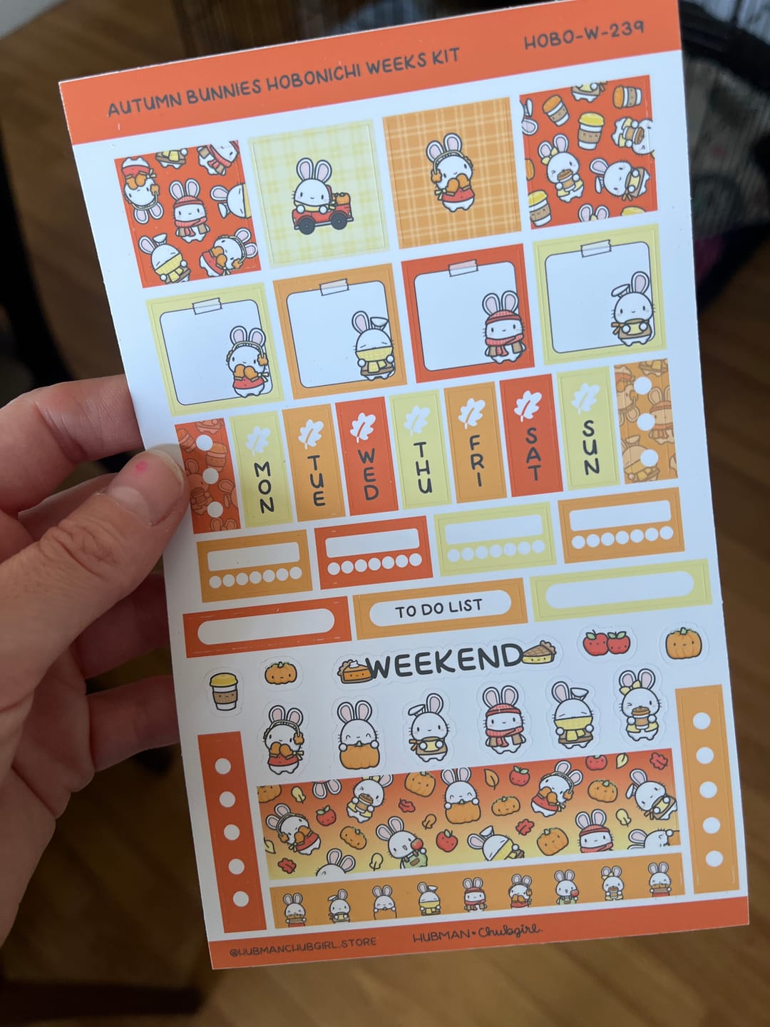 Customer photo review of Autumn Bunnies Theme Hobonichi Weeks Kit
