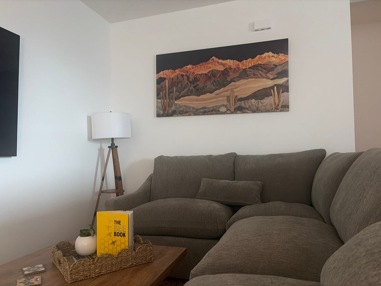 Customer photo review of Southwestern Canvas Wall Art – Layered Wood Desert Landscape With Cactus Decor