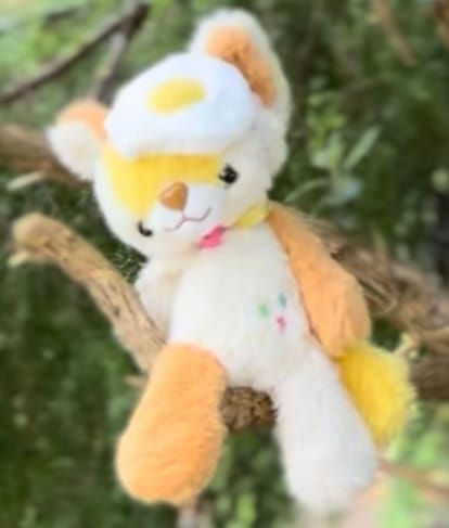 Customer photo review of Magical Noopy2 Plush - PARKER