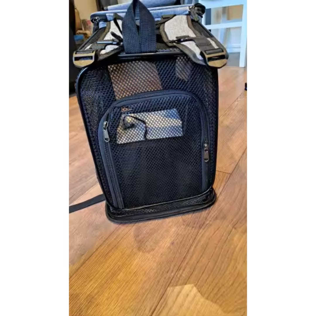 Customer photo review of MOCHILA EXPANDIBLE PARA GATOS