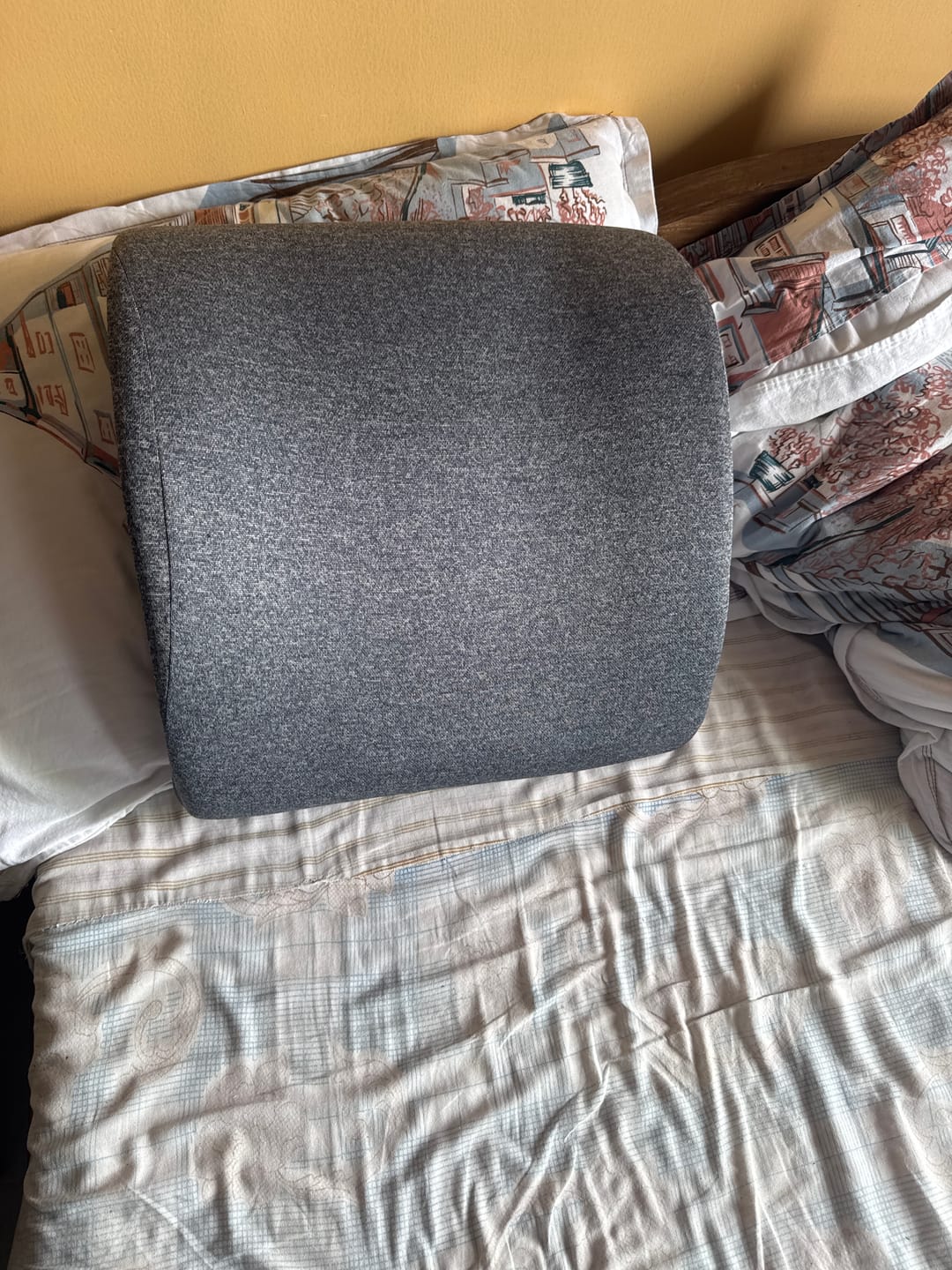 Customer photo review of Back Support Cushion