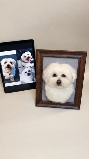 Customer photo review of Custom 3D Felted Cat Frame Portrait