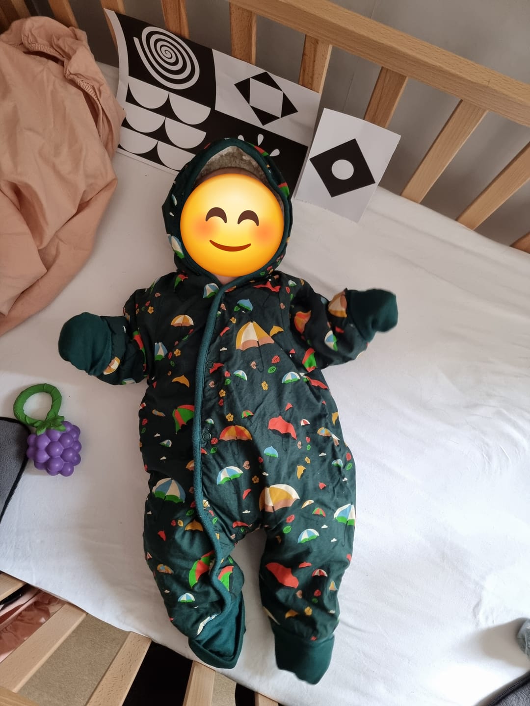 Customer photo review of Windy Day Sherpa Lined Snowsuit