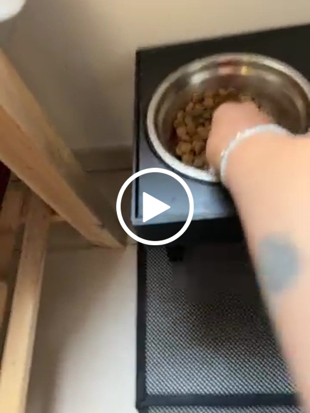 Customer video review of Chiot de grande taille - croquette saveur poulet (>25kg)