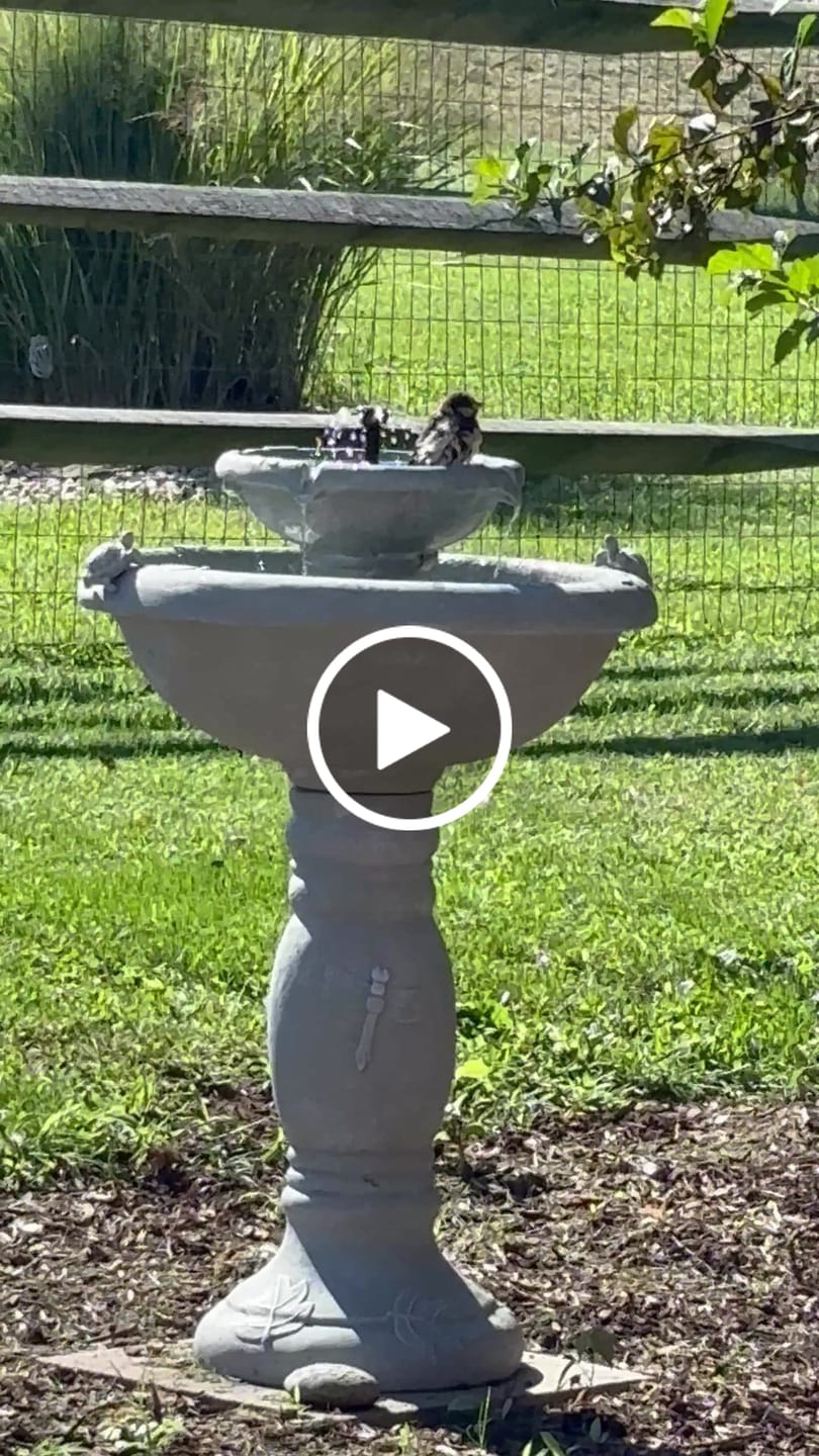 Customer video review of 2-Tier Solar Fountain  Bird Bath- Country Gardens