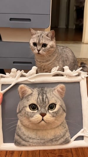 Customer photo review of Custom 3D Felted Cat Frame Portrait