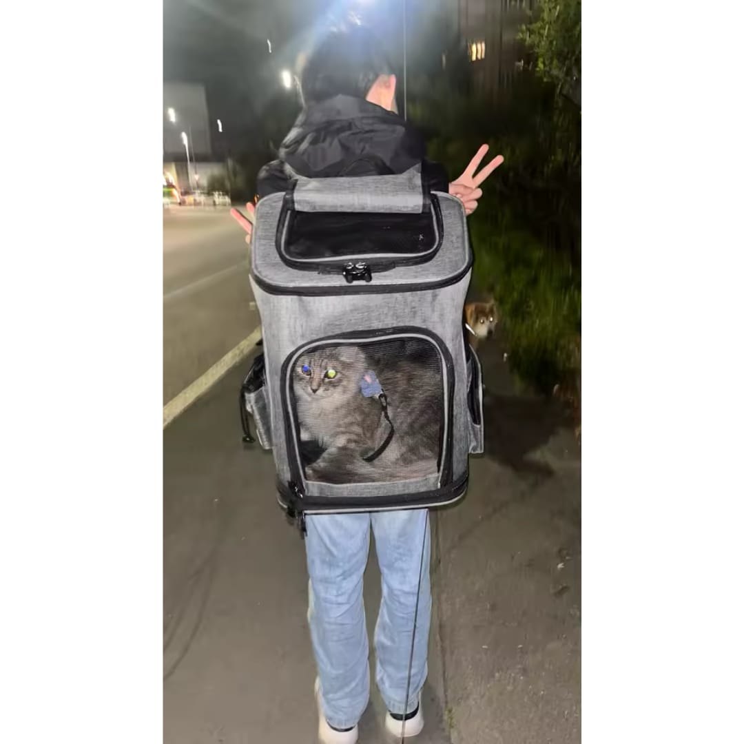 Customer photo review of MOCHILA EXPANDIBLE PARA GATOS