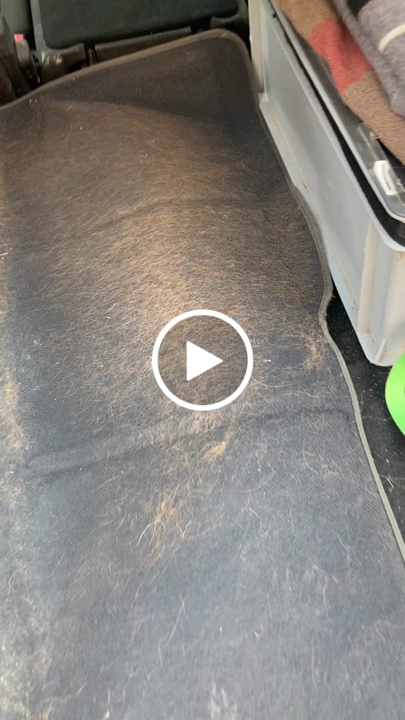 Customer video review of PolsterHeld® Fellmagnet