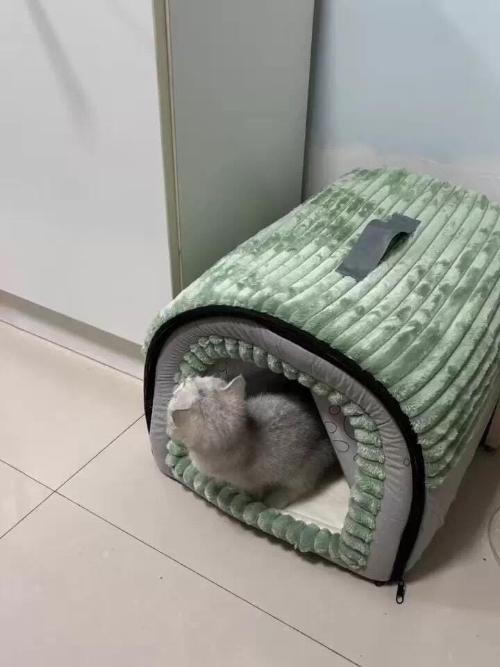 Customer photo review of Closed Cat House