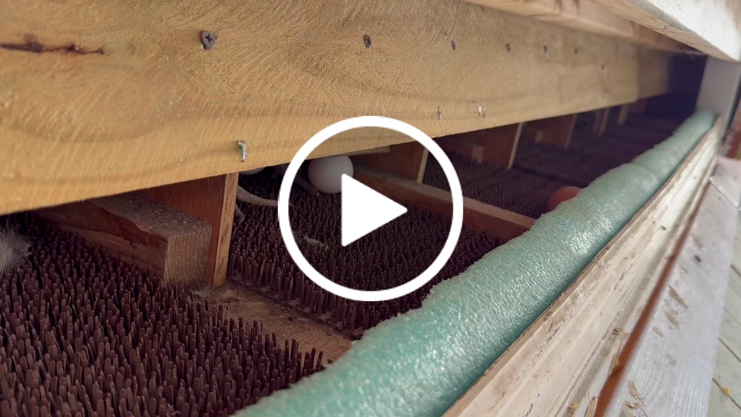 Customer video review of Nest Box Pads (NXT V5.2)