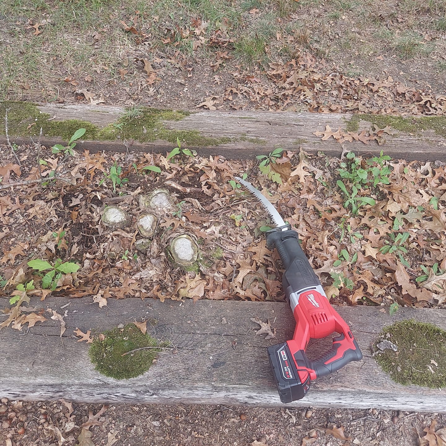 Customer photo review of Tree Trimming/Wood Cutting – ProCut U-Groove Arc Edge Pruning Reciprocating Saw Blade