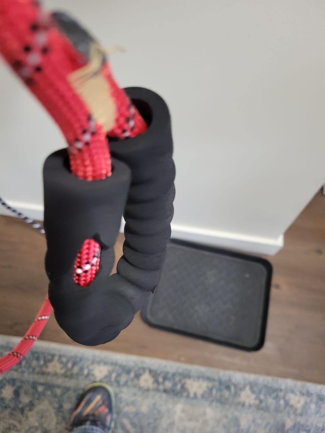 Customer photo review of Reflective Nylon Leash