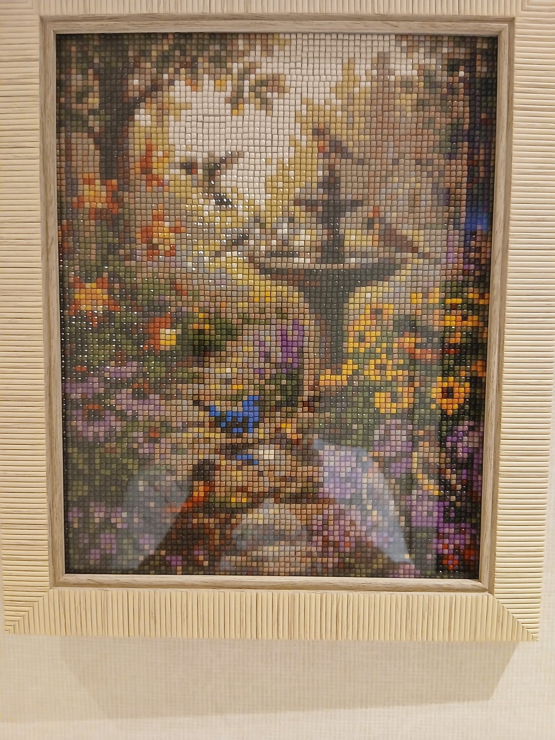 Customer photo review of Diamond Painting - Symphonie de la Fontaine du Jardin
