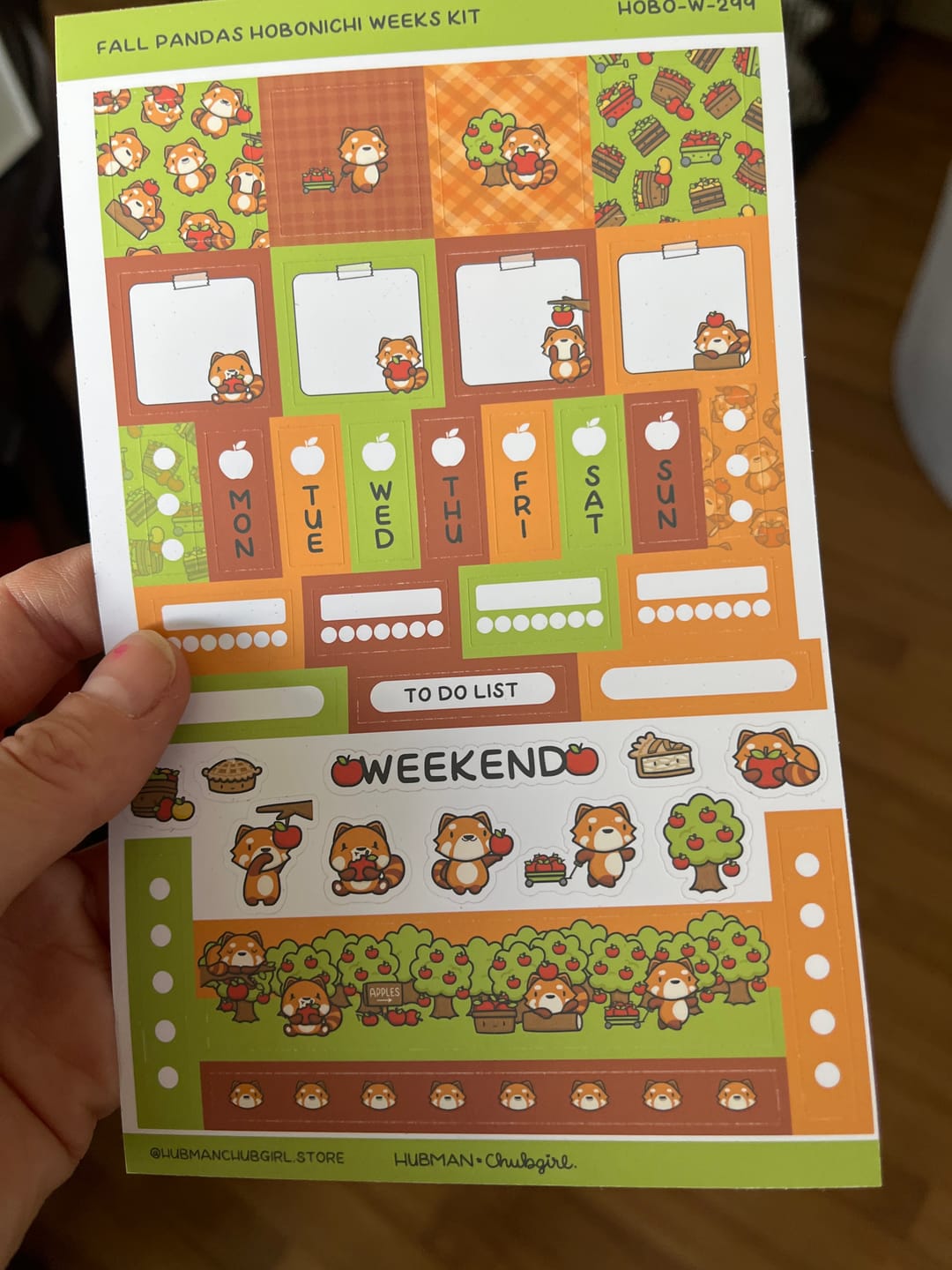 Customer photo review of Fall Pandas Hobonichi Weeks Kit