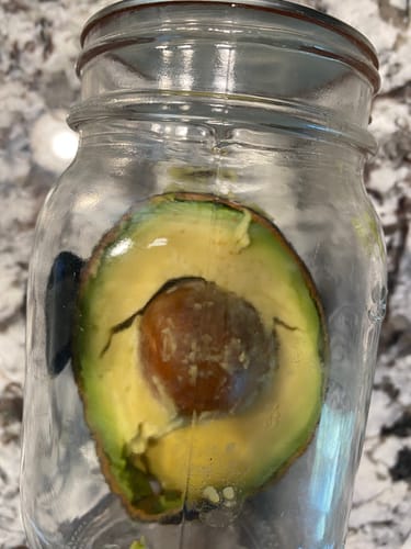 Customer's half an avocado inside a clear glass Mason Genie Vacuum Sealer Kit jar