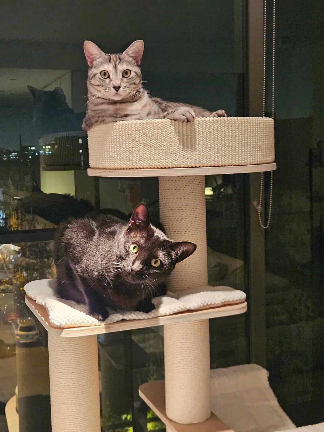 Customer photo review of Michu Luna Multi-Layer Solid Wood Cat Nest Tree