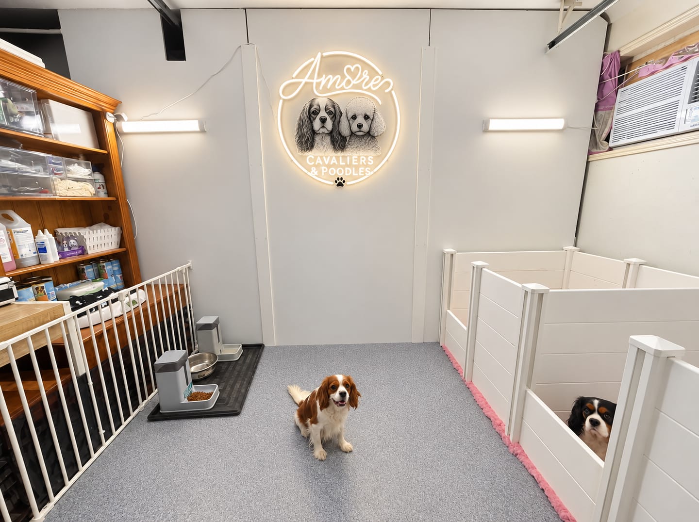 Customer photo review of DOG logo | LED Neon Sign + 50 keychains