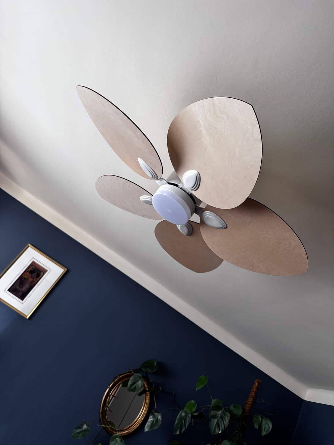 Customer photo review of Dahlia | Ventilateur de plafond