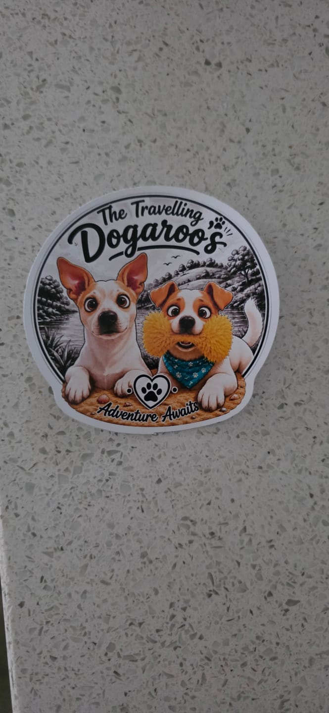 Customer photo review of Custom Die Cut Stickers