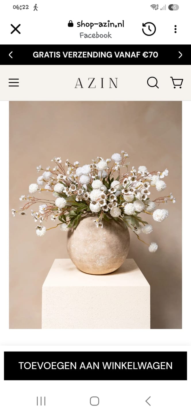 Customer photo review of AZIN CADEAUBON