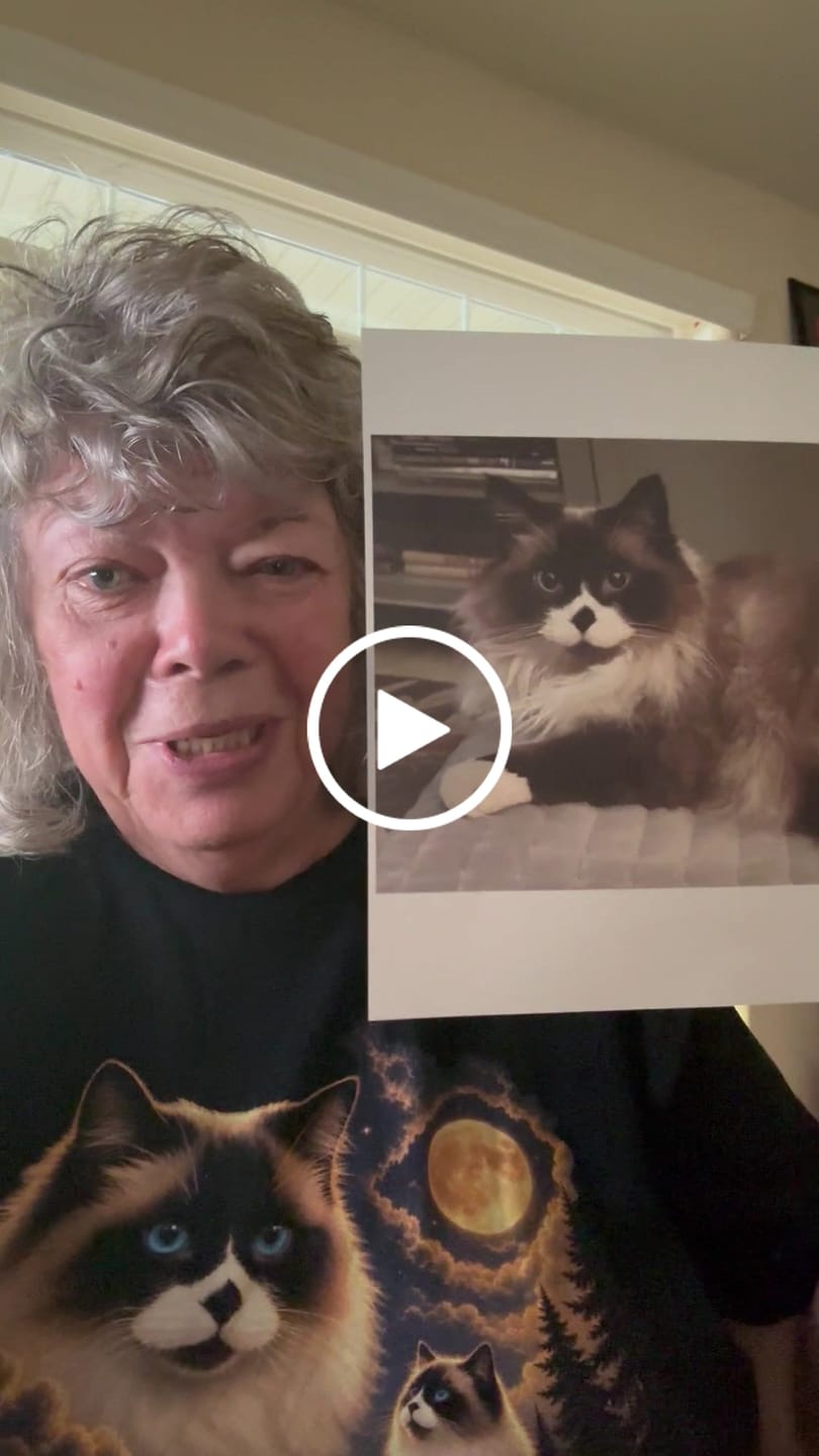 Customer video review of Guiding Spirit | Custom Pet Tshirt