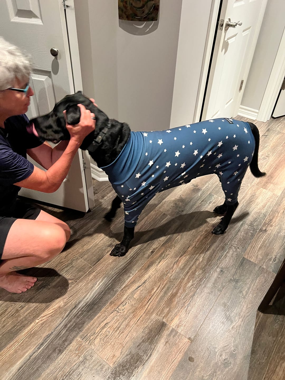 Customer photo review of Dog Pajama - Stars