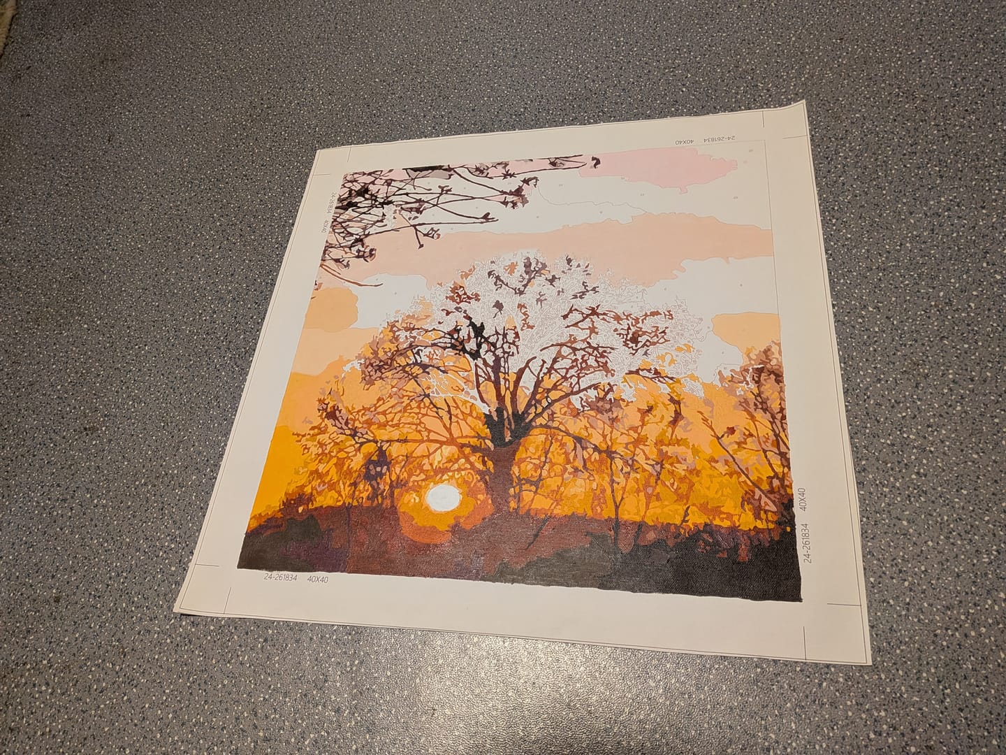 Customer photo review of Eigenes Foto - Malen nach Zahlen