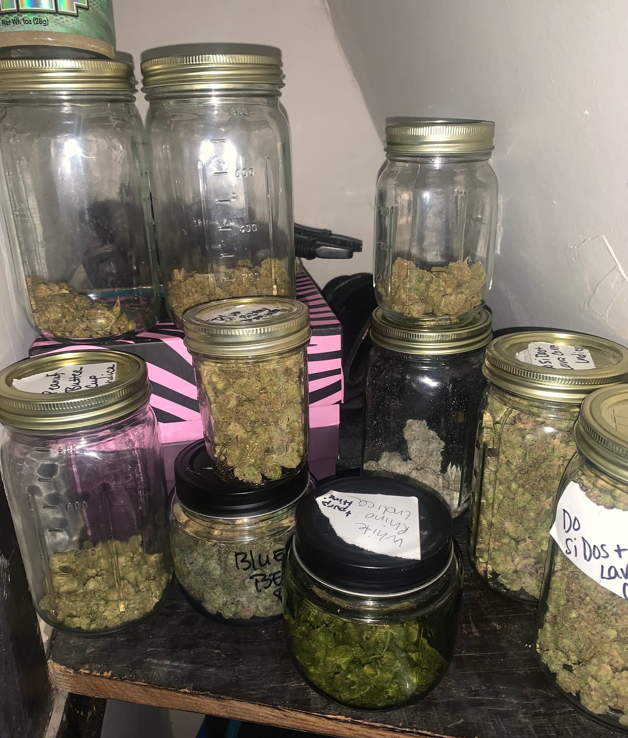 Customer photo review of Blueberry Pancakes Mediums - Bulk Mediums - Indica