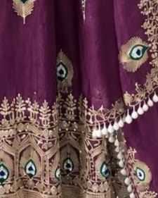 Customer photo review of Purple Embroidered Anarkali Gown